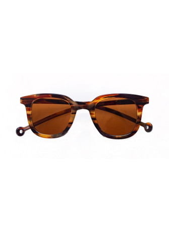 Óculos de Sol Cauce Parafina CAU-ATR-RCM Amber Tortoise