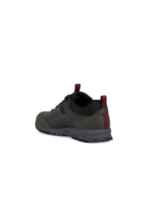 Doray Sneakers Geox U360MB-C6024 Dk Coffee