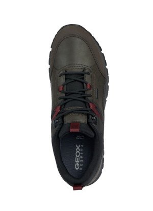 Doray Sneakers Geox U360MB-C6024 Dk Coffee