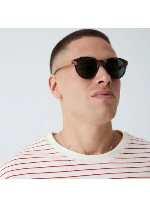 Costa Sunglasses Parafina COS-GTR-DGN Gentle Tortoise