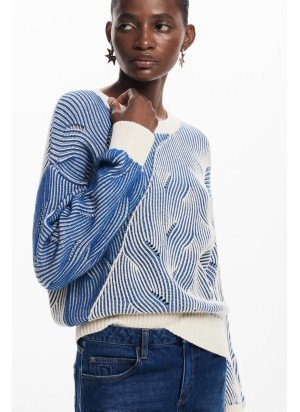 Jers_Ottawa Shirt Desigual 24WWJF10-5036 Blue