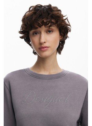 Sweat Afta Desigual 25SWSK16-2092 Cinzento