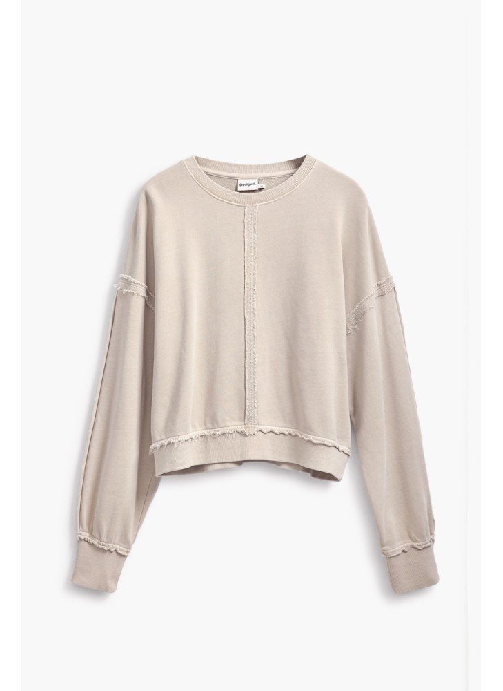 Abbie Sweat Desigual 25SWSK03-6006 Beige