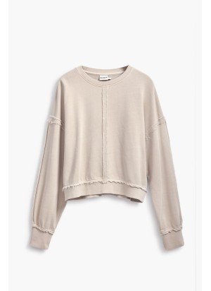 Abbie Sweat Desigual 25SWSK03-6006 Beige