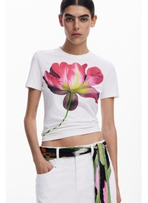 Plata T-Shirt Desigual 25SWTK24-1001 Ecru