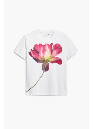 T-Shirt Plata Desigual 25SWTK24 -1001 Cru