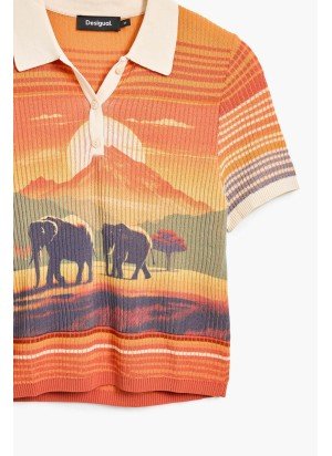 T-Shirt Himalaya Desigual 25SWTKA7-8007 Multicolorido