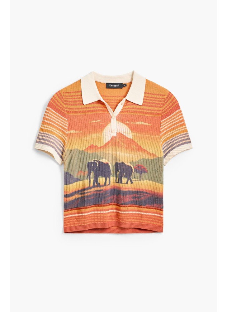 T-Shirt Himalaya Desigual 25SWTKA7-8007 Multicolorido