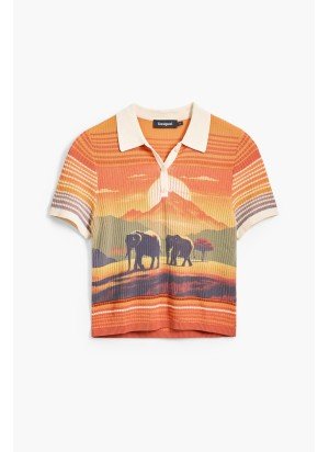 T-Shirt Himalaya Desigual 25SWTKA7-8007 Multicolorido